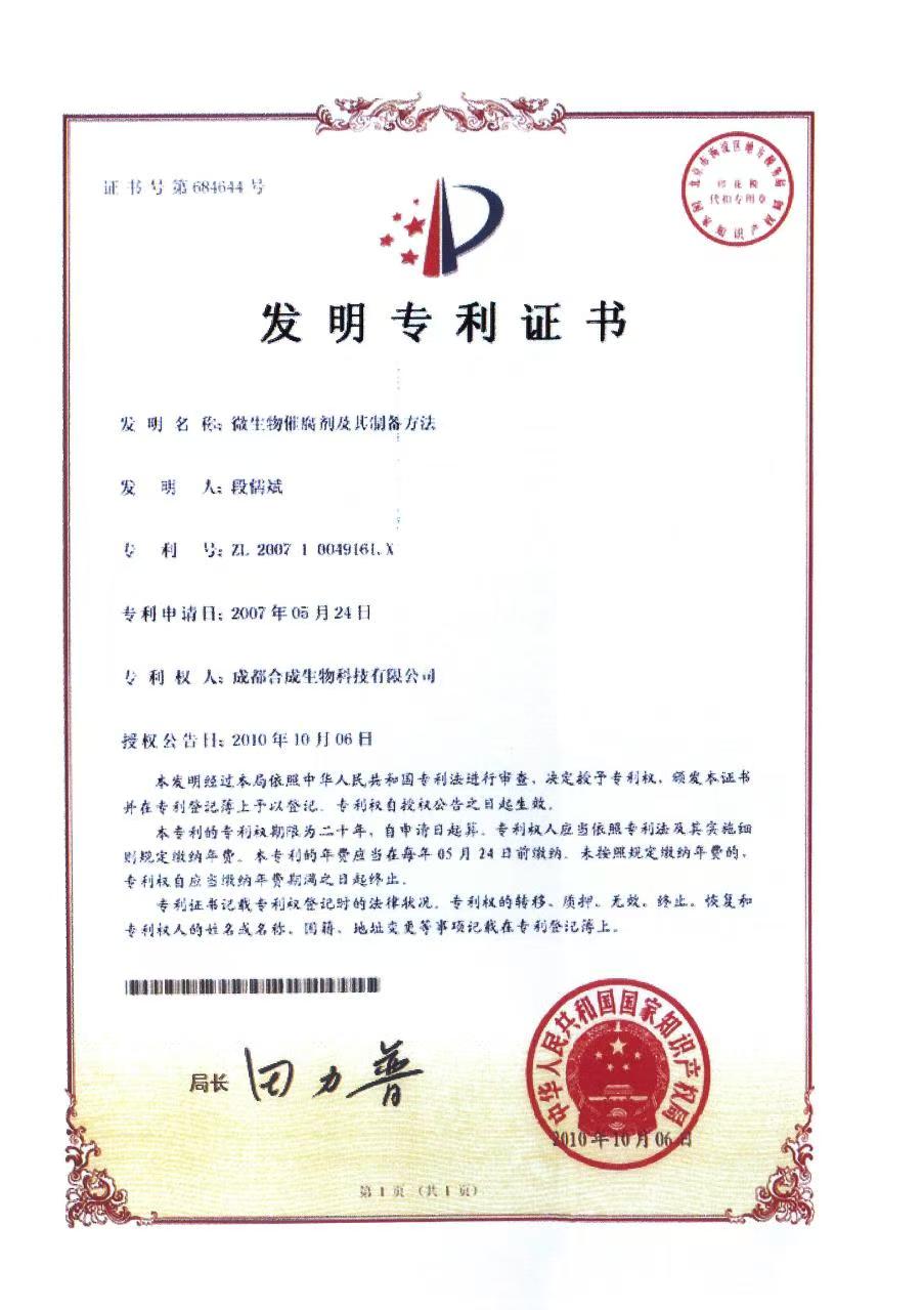 专利